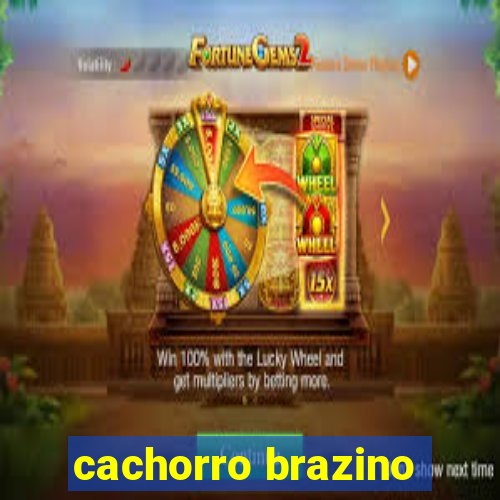 cachorro brazino